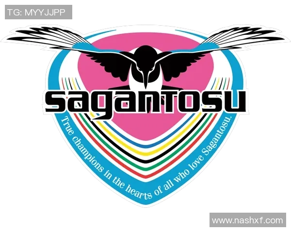 香港足球队迎战鸟栖沙岩挑战赛精彩对决即将上演